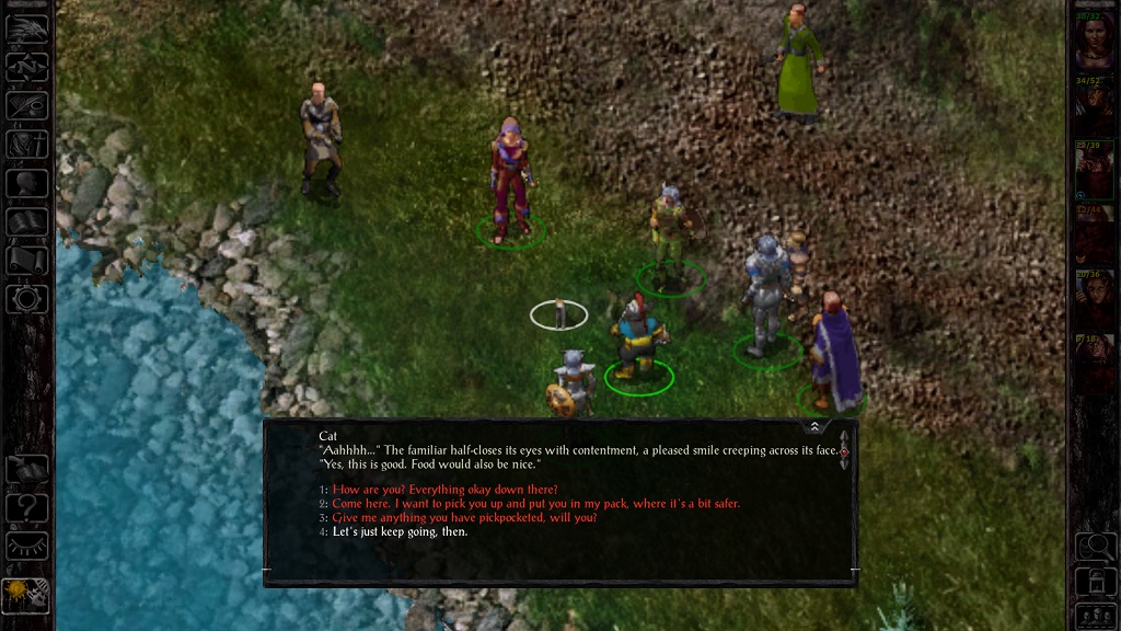 If you're playing the enhanced edition, an assassin in Nashkel will drop a 'Find Familiar' scroll. In the original game, I believe the only way to get the spell was at character creation. If you're playing the enhanced edition, an assassin in Nashkel will drop a 'Find Familiar' scroll. In the original game, I believe the only way to get the spell was at character creation.